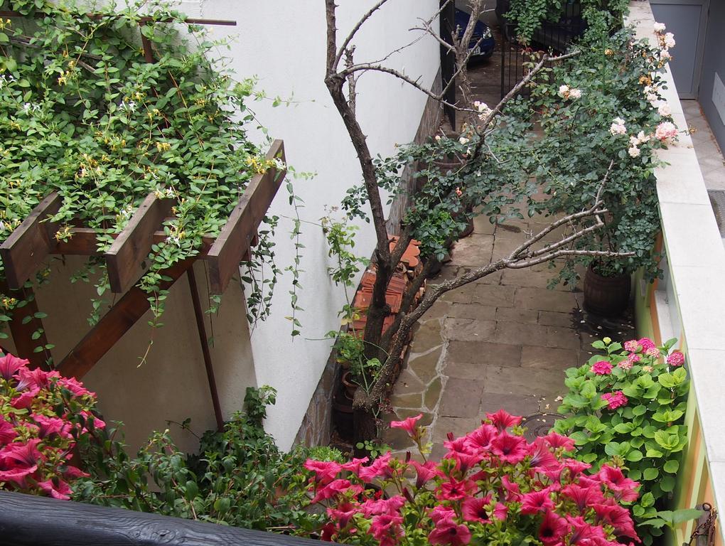 Guest Accommodation Etno Konak Tasana Ni Dış mekan fotoğraf