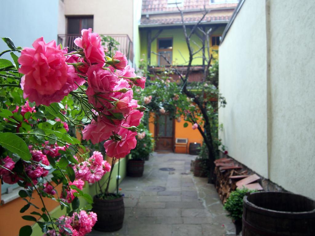 Guest Accommodation Etno Konak Tasana Ni Dış mekan fotoğraf